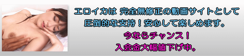 �������� eroika�ϴ���̵����ư��ǰ���Ū�ʻٻ�����ˡ�����ȤʤΤǰ¿����Ƴڤ���ޤ���